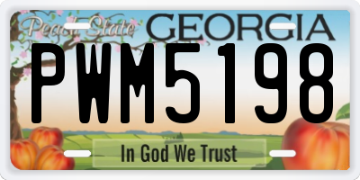 GA license plate PWM5198