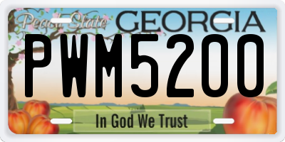 GA license plate PWM5200