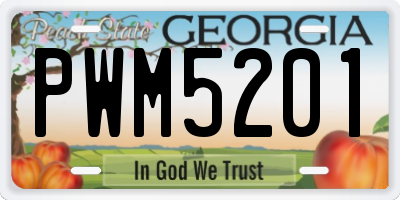 GA license plate PWM5201