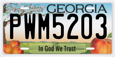 GA license plate PWM5203