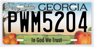 GA license plate PWM5204