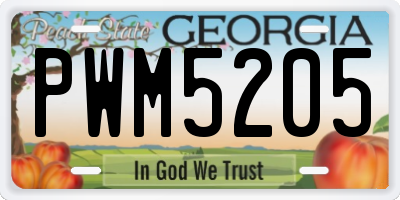 GA license plate PWM5205