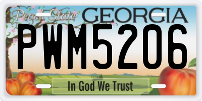 GA license plate PWM5206