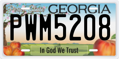 GA license plate PWM5208