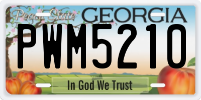 GA license plate PWM5210