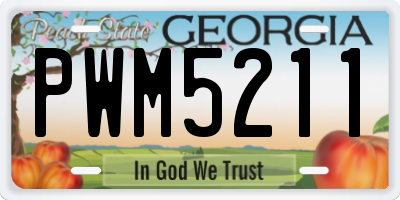 GA license plate PWM5211