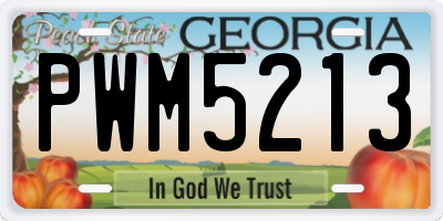GA license plate PWM5213