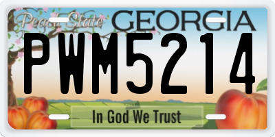 GA license plate PWM5214