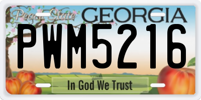 GA license plate PWM5216