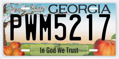 GA license plate PWM5217