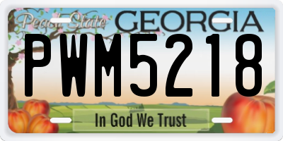 GA license plate PWM5218