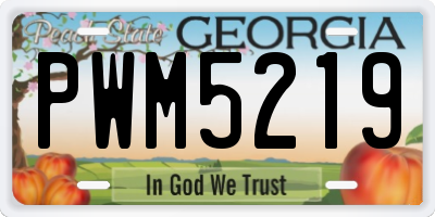 GA license plate PWM5219