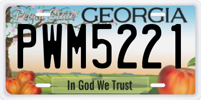 GA license plate PWM5221