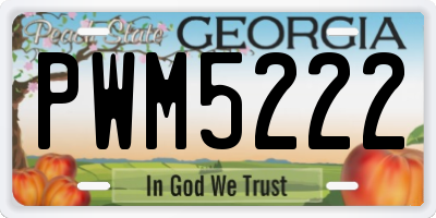 GA license plate PWM5222