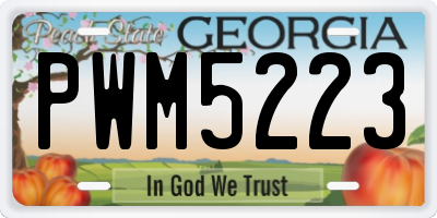GA license plate PWM5223