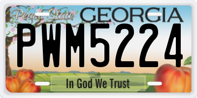 GA license plate PWM5224