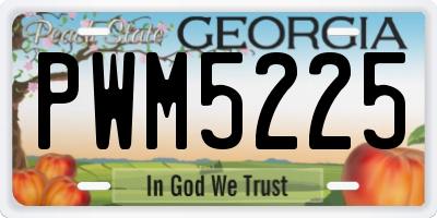 GA license plate PWM5225