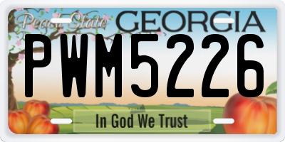 GA license plate PWM5226
