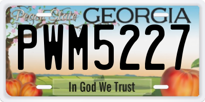 GA license plate PWM5227