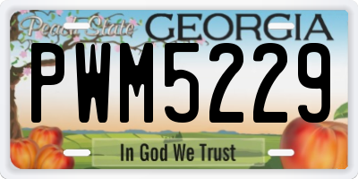 GA license plate PWM5229