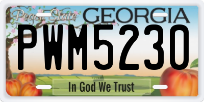 GA license plate PWM5230