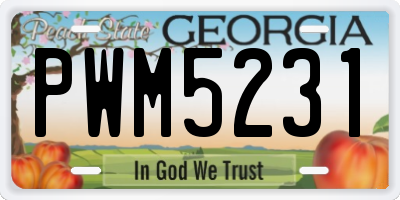 GA license plate PWM5231
