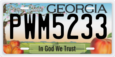 GA license plate PWM5233