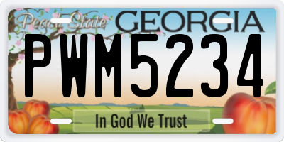 GA license plate PWM5234