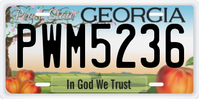GA license plate PWM5236
