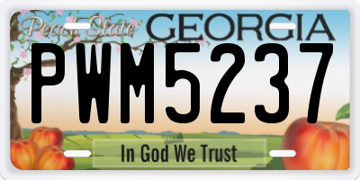 GA license plate PWM5237