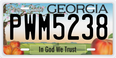 GA license plate PWM5238