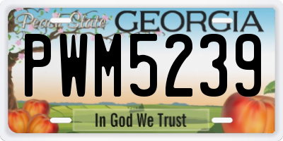 GA license plate PWM5239