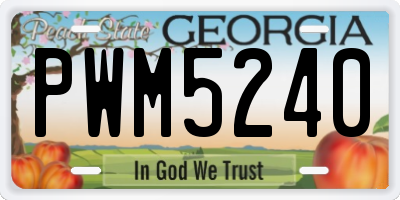 GA license plate PWM5240