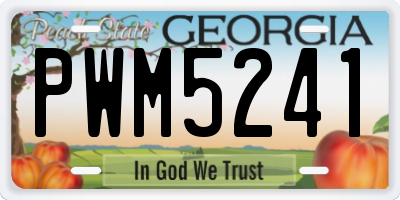 GA license plate PWM5241