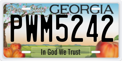 GA license plate PWM5242