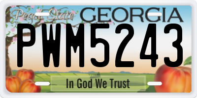 GA license plate PWM5243