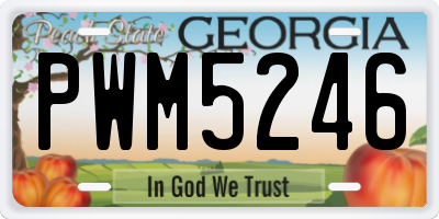 GA license plate PWM5246