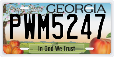 GA license plate PWM5247