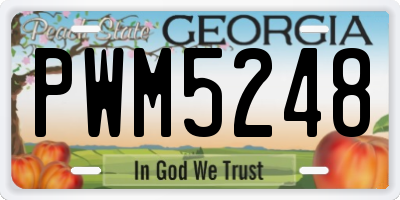 GA license plate PWM5248