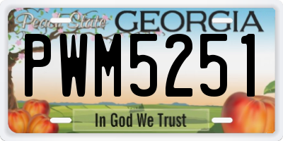 GA license plate PWM5251