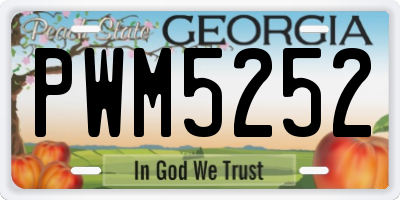 GA license plate PWM5252