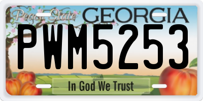 GA license plate PWM5253