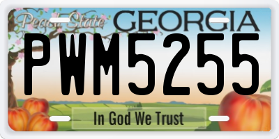 GA license plate PWM5255