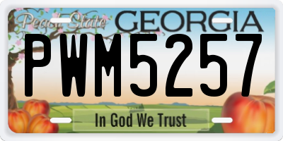GA license plate PWM5257