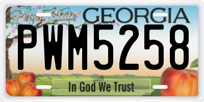 GA license plate PWM5258