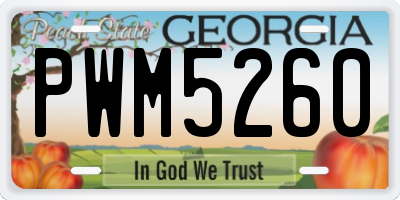 GA license plate PWM5260