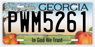 GA license plate PWM5261