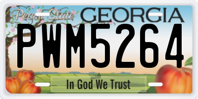 GA license plate PWM5264