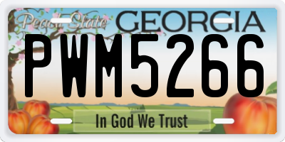 GA license plate PWM5266