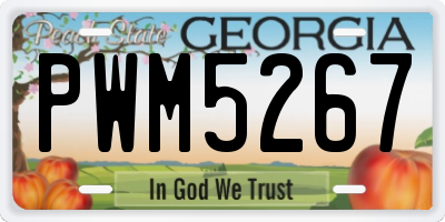 GA license plate PWM5267